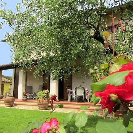 Casa Vacanze Lulu Camaiore Kültér fotó