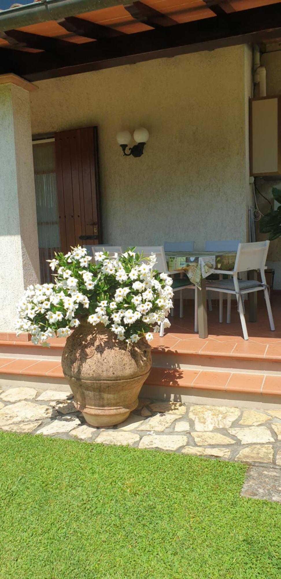 Casa Vacanze Lulu Camaiore Kültér fotó